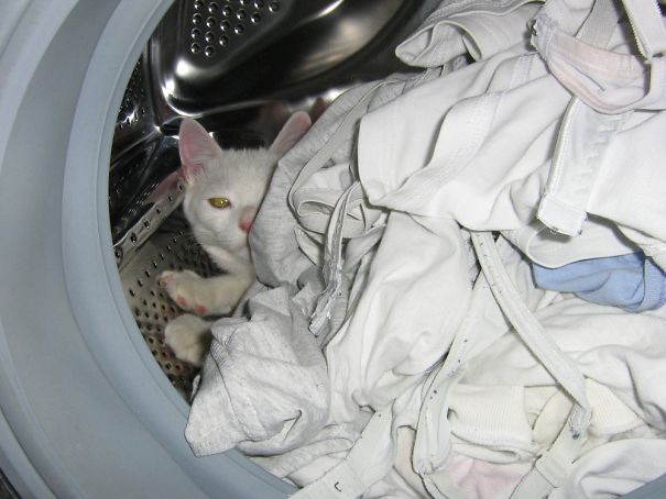 At Least It Was Dirty Laundry... This Time.