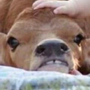 nickelworldplayz avatar