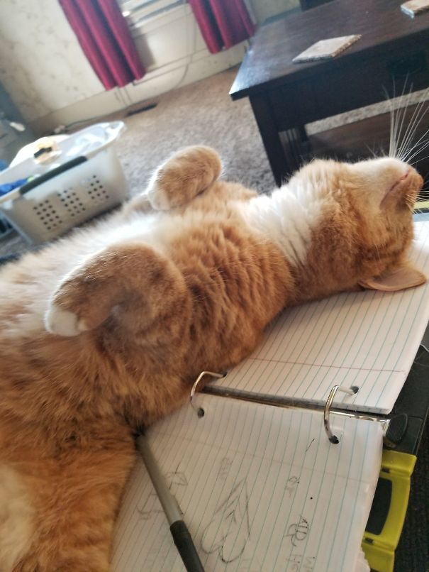 "Oh Mom, I See You're Paying Attention To Your Notes And Not Me, Here Let Me Fix That"