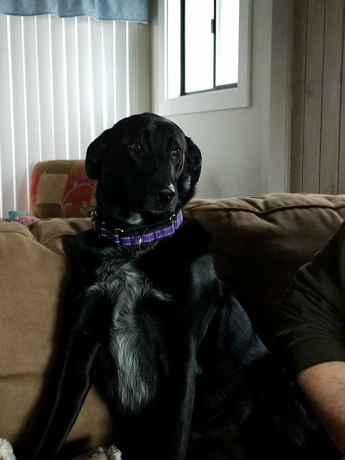 That Look When Your Parents Won't Let You Outside To Play...