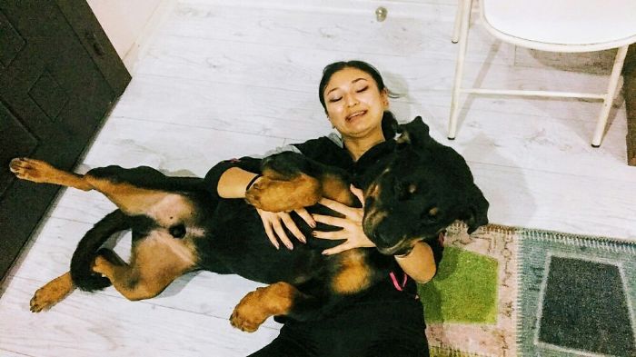 Adopted This Little Boy From A Shelter.hes Been My Best Friend Since Then