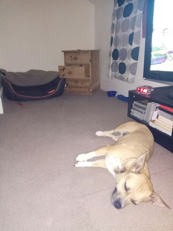 That Bed Was Money Well Spent... Little Twat :)