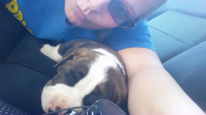 The Day A Met My Sweet Baby