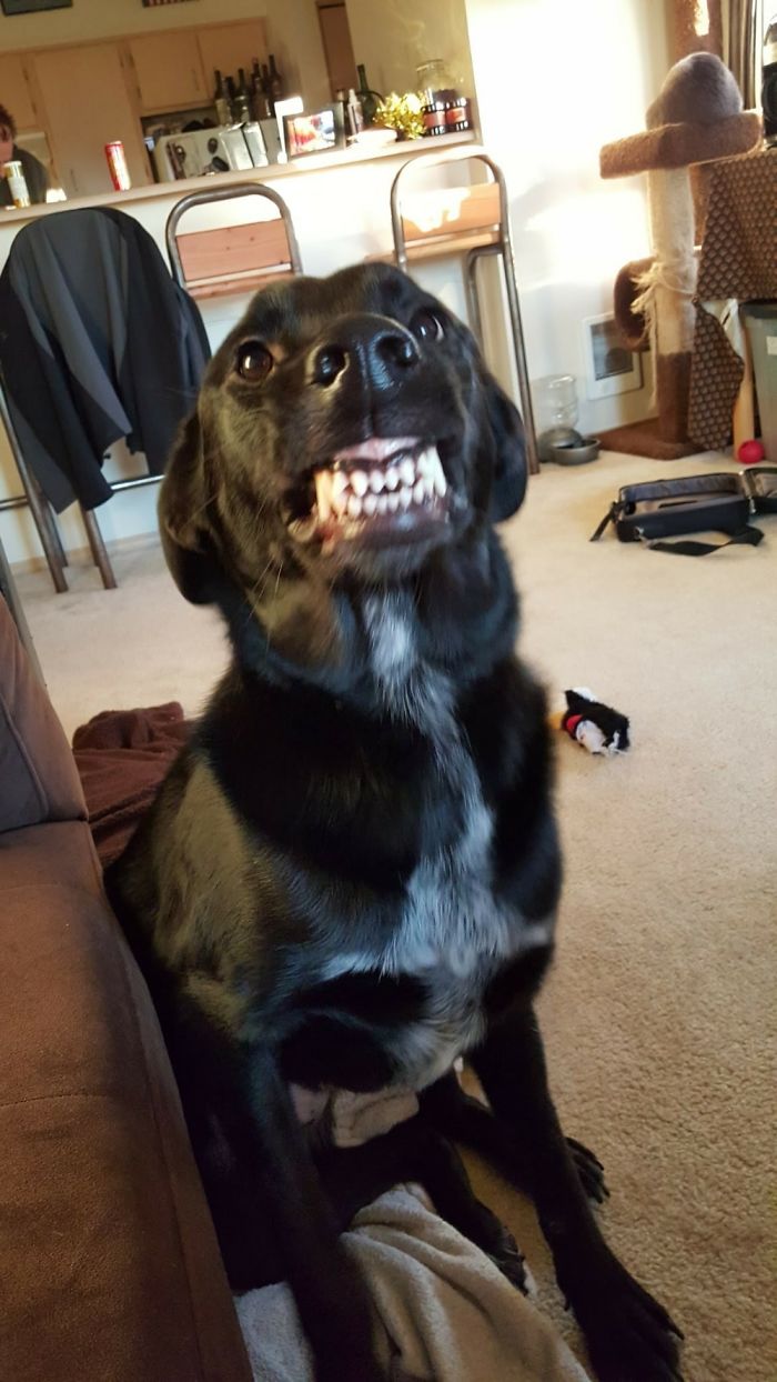 Hi! You Make Me Happy!