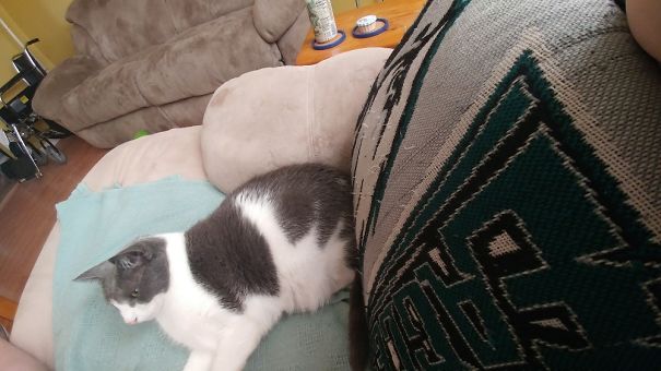 I Wait Until My Mom Gets Up Then Steal Her Spot