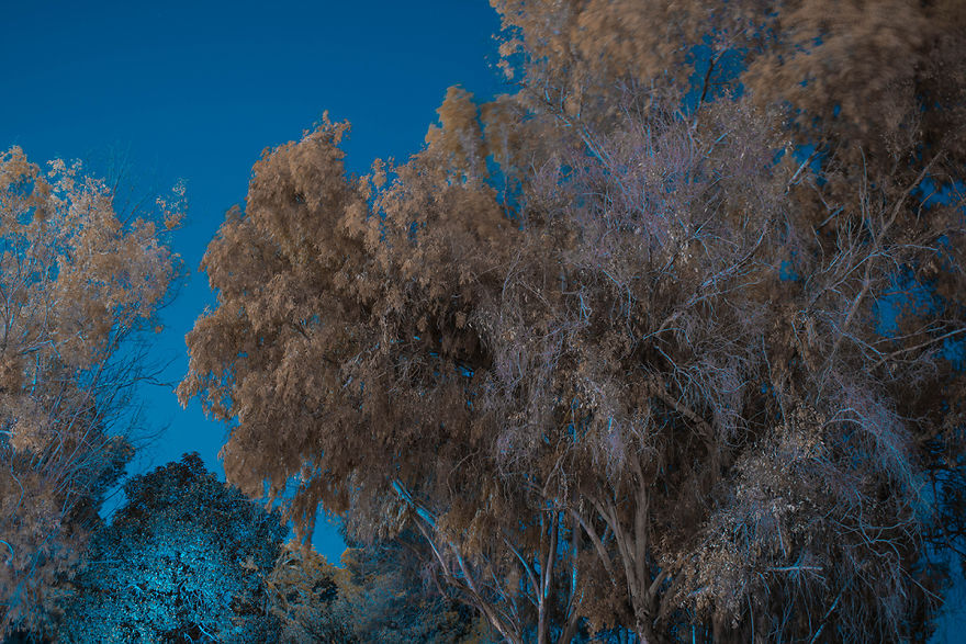 Burn In Blue: My Landscape Photo Series After Late Lab Work