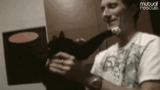 cat-rescue-soldier-life-suicide-scout-josh-marino-12