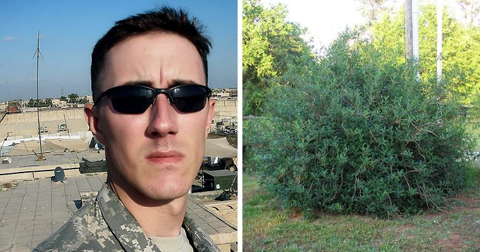 Veteran About To Commit Suicide Goes To Smoke His Last Cigarette, But Then He Hears Something In Bushes