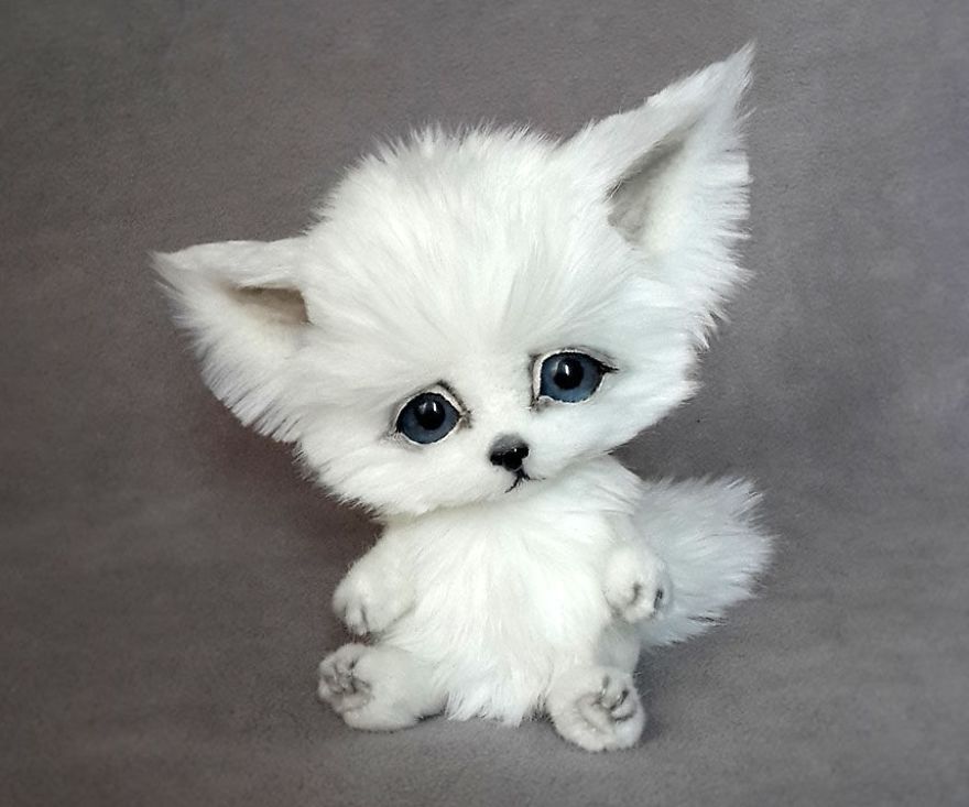 Amazing Warming Tenderness: 20 Furry Puppies, Kittens And Foxcubs Straight From Siberia