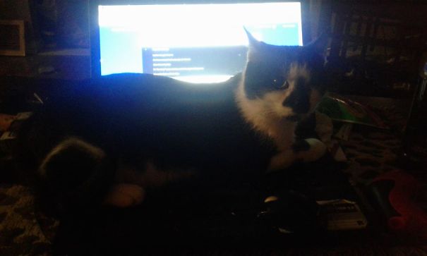 You Know That Thing You Were Doing? Ya, You Aren't Doing It Anymore Today.