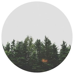 ellagrace2207 avatar