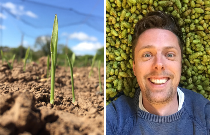 I’ve Spent 1 Year Growing My Own Beer