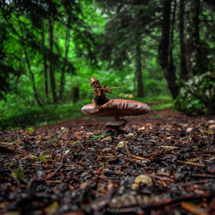 I Bring You Images From The Land Of Mushrooms