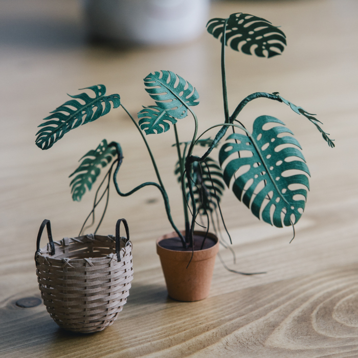 Miniature Paper Plants That Take Me Up To 20 Hours To Create