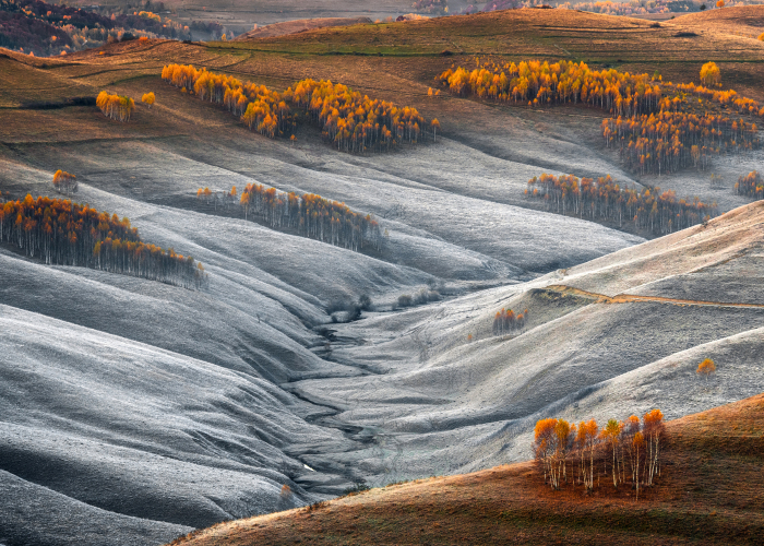 I Photographed The Mystical Land Of Transylvania