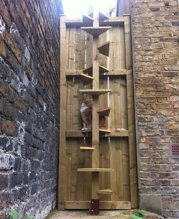 My Mum's Cat Was Having Problems Getting Over The Fence. Her Boyfriend Made This From Scratch