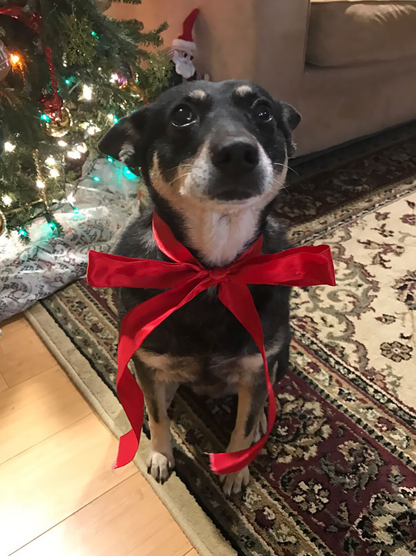 My Boyfriend Let Me Have One Present Early This Christmas