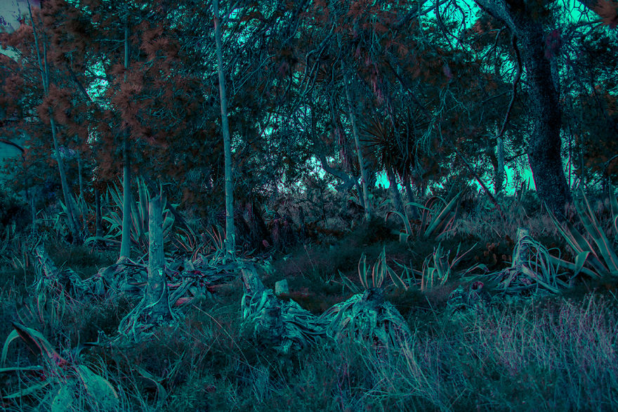 Burn In Blue: My Landscape Photo Series After Late Lab Work Burn In Blue: My Landscape Photo Series After Late Lab Work