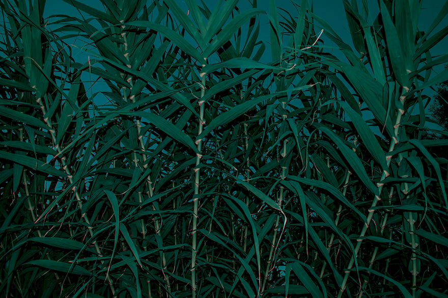 Burn In Blue: My Landscape Photo Series After Late Lab Work