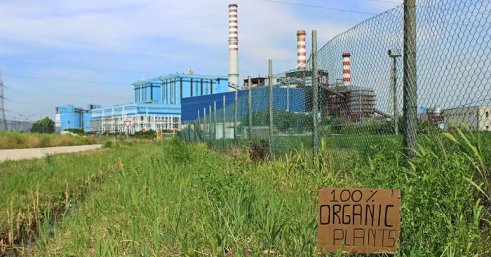 A Street Artist Jokes With The Urban Environment And Creates Playful Installations For The Passersby