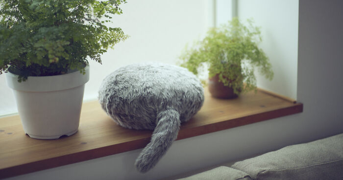 This Cat-Inspired Robot From Japan Can Help To Cope With Anxiety