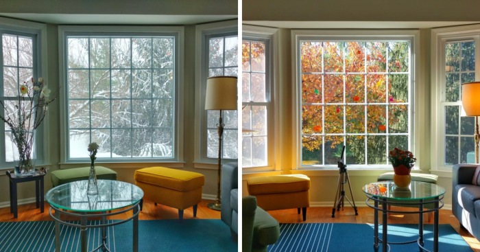 The Four Seasons Through My Living Room