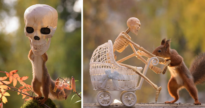 Here’s How Squirrels Celebrate Halloween