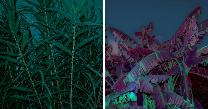 Burn In Blue: My Landscape Photo Series After Late Lab Work