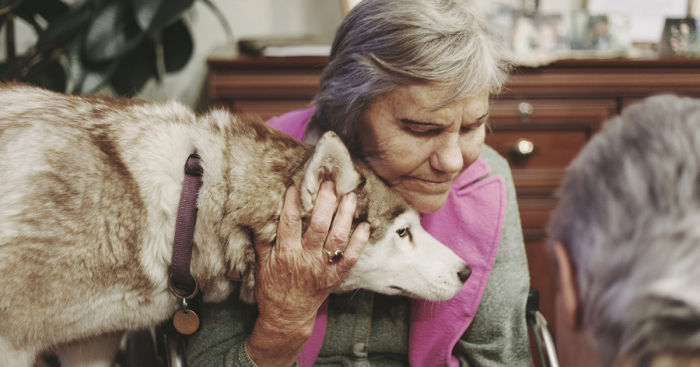 We Followed Local Canistherapy Center Team To Senior Foster Homes And Children Hospitals For Two Years To Document People Emotions