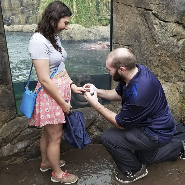 Fiona The Hippo Photobombs Couple’s Engagement Pics, And Now They’re So Much Better Fiona The Hippo Photobombs Couple’s Engagement Pics, And Now They’re So Much Better