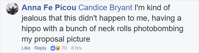 Fiona The Hippo Photobombs Couple&rsquo;s Engagement Pics, And Now They&rsquo;re So Much Better