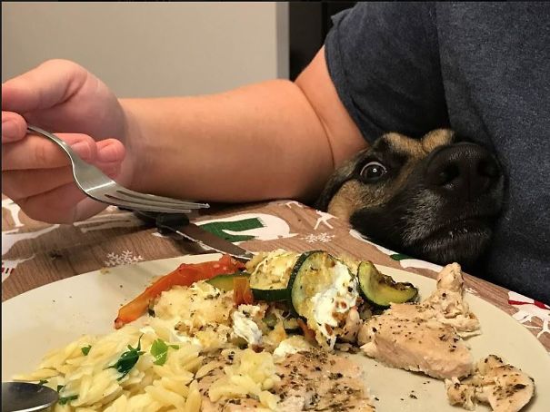 She Doesn't Think We'll Notice Her...