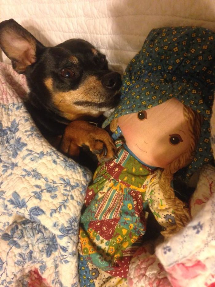 I Can Only Fall Asleep With Moms Holly Hobby And In Her Bed.