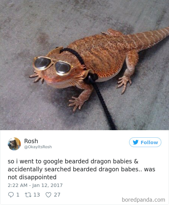 Funny-Accidental-Google-Searches