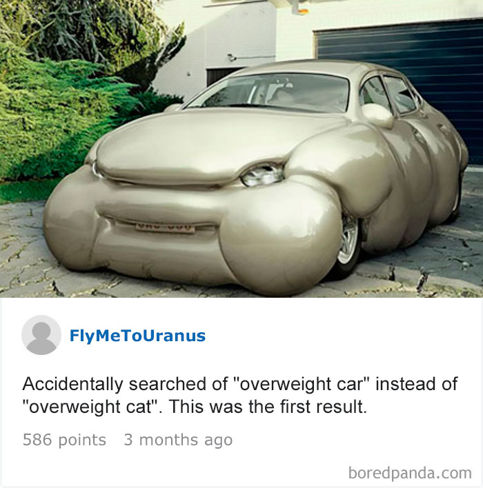 Funny-Accidental-Google-Searches