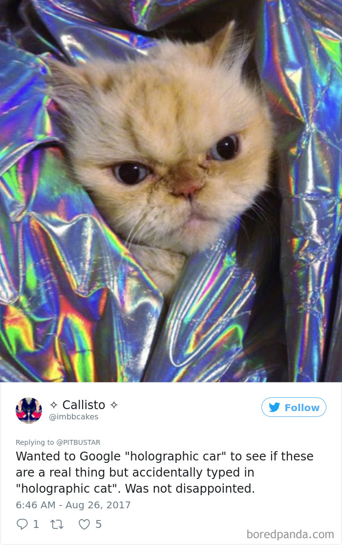 Funny-Accidental-Google-Searches