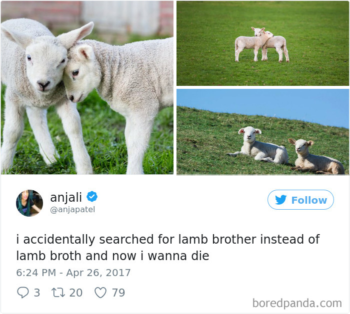 Funny-Accidental-Google-Searches