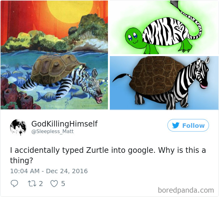 Funny-Accidental-Google-Searches