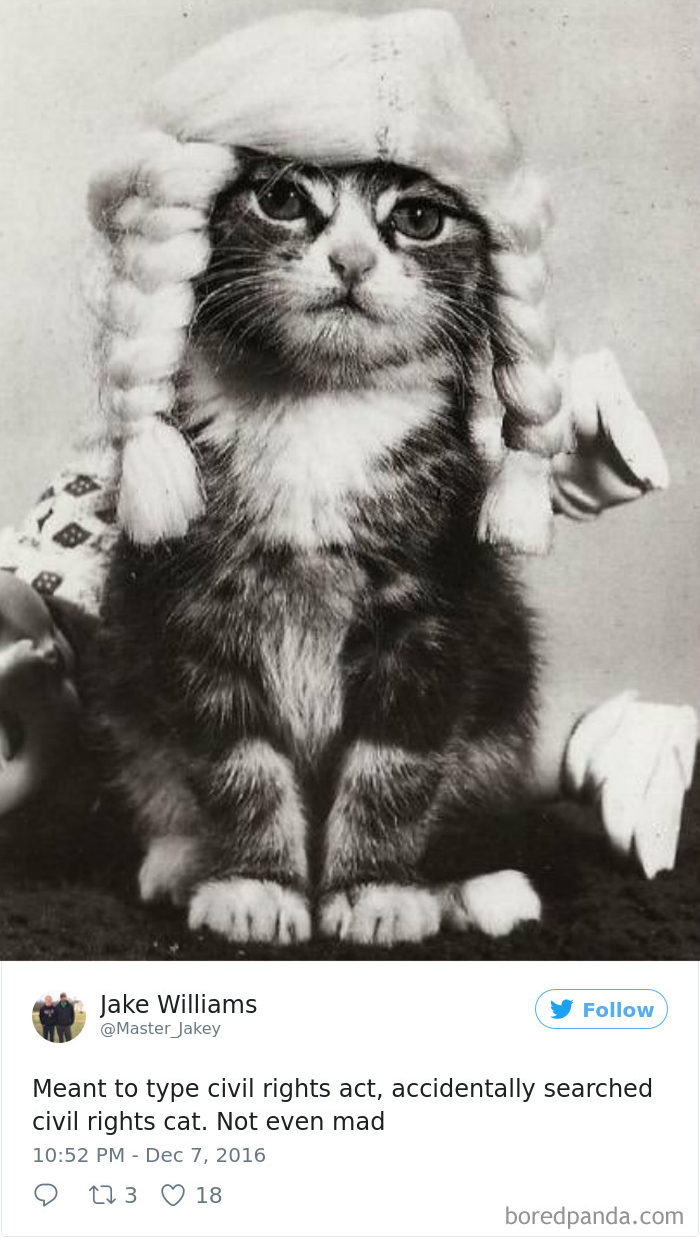 Funny-Accidental-Google-Searches