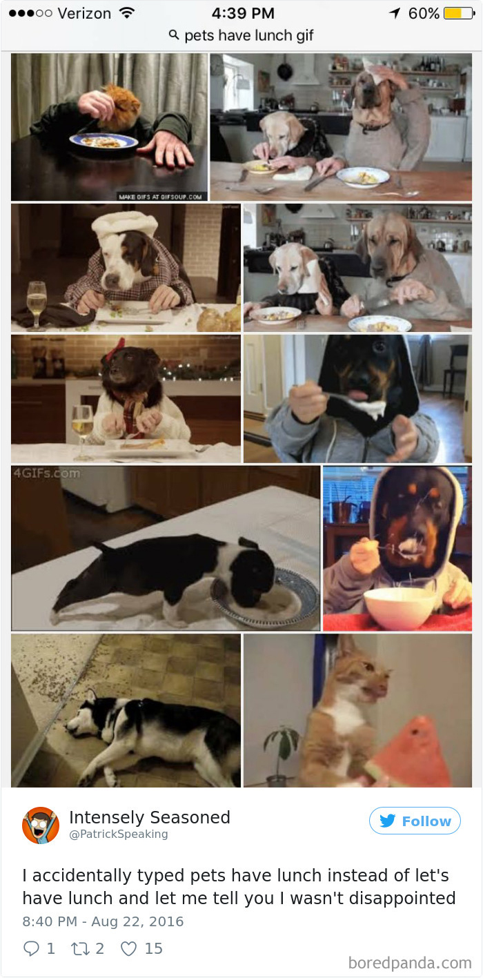 Funny-Accidental-Google-Searches