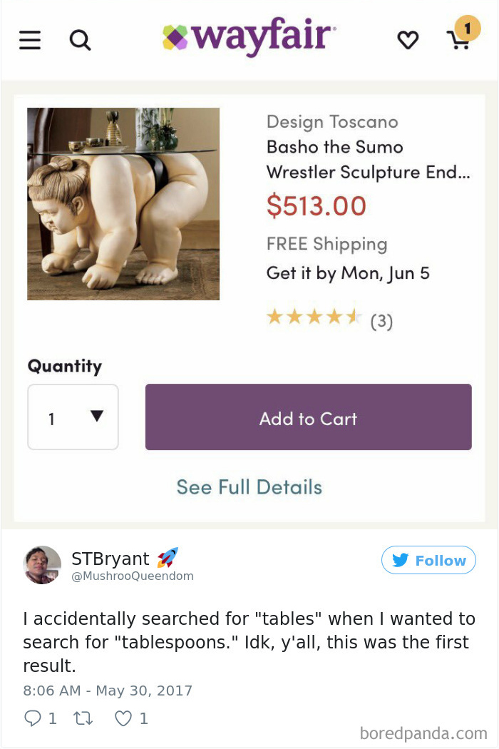 Funny-Accidental-Google-Searches