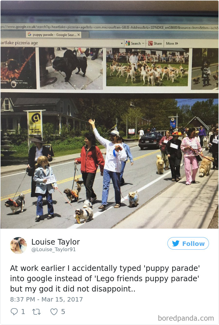 Funny-Accidental-Google-Searches