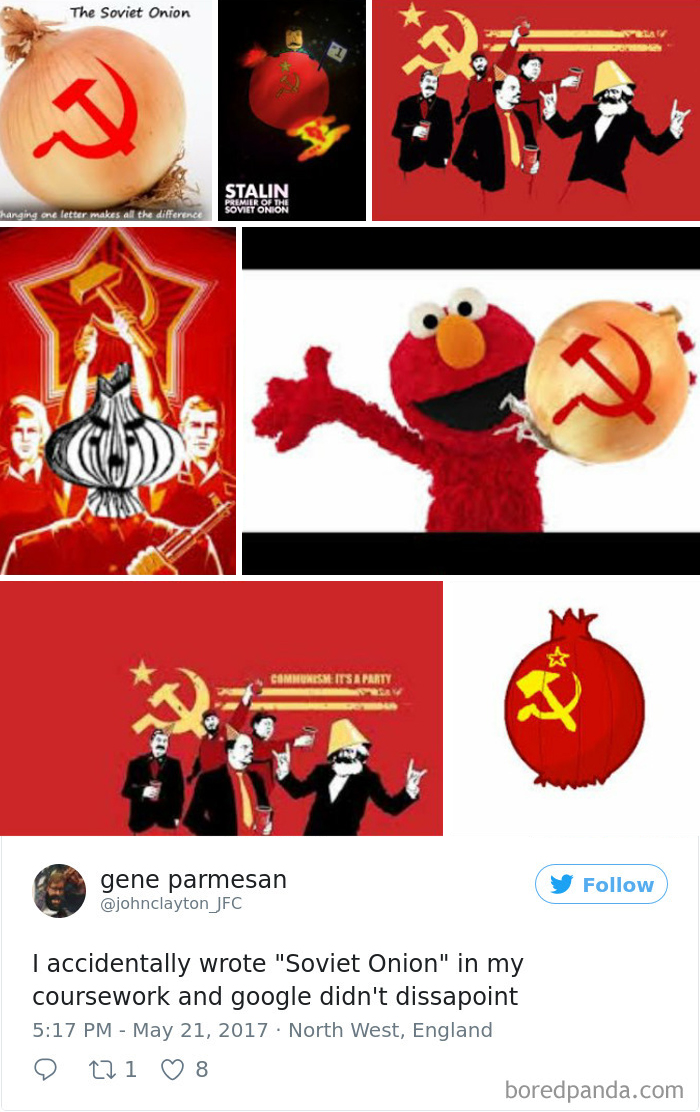 Funny-Accidental-Google-Searches