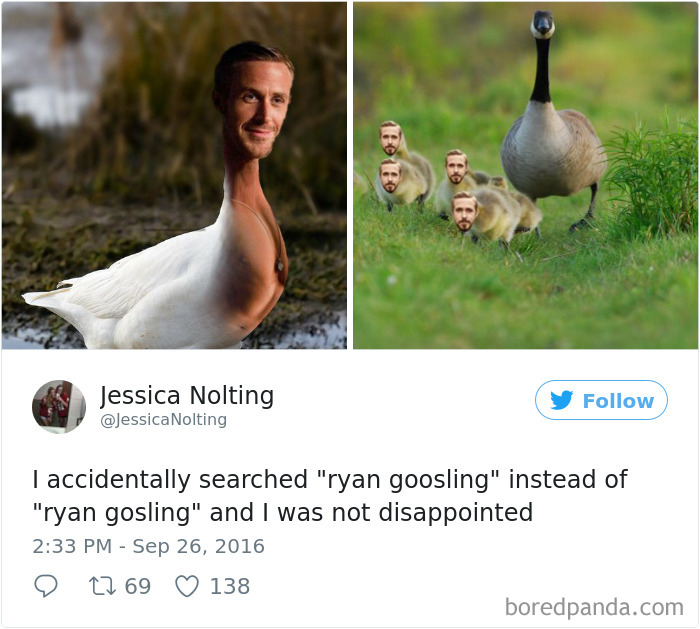 Funny-Accidental-Google-Searches