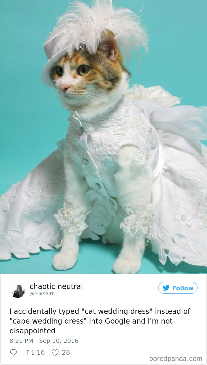 Funny-Accidental-Google-Searches