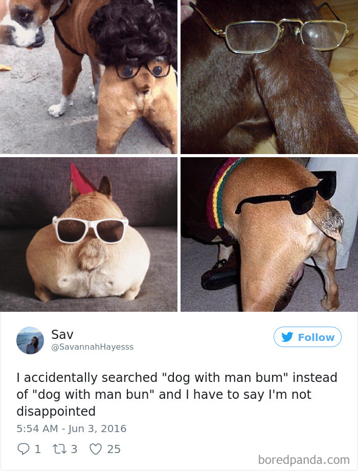 Funny-Accidental-Google-Searches