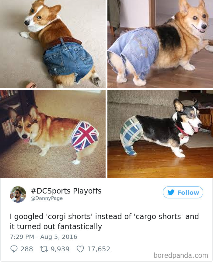 Funny-Accidental-Google-Searches