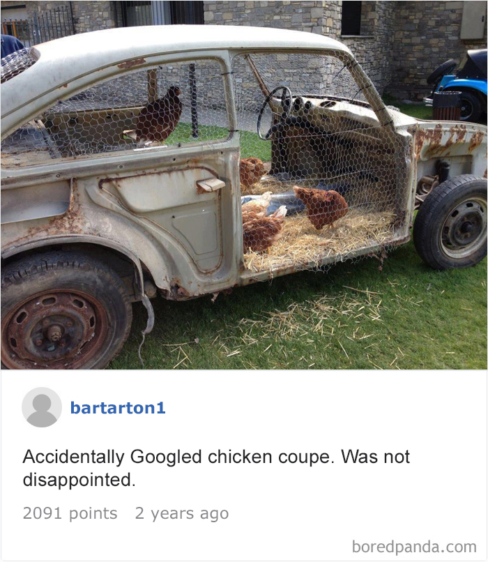 Funny-Accidental-Google-Searches