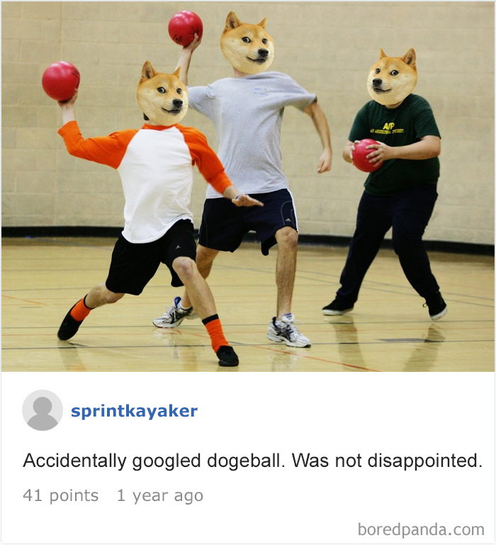 Funny-Accidental-Google-Searches