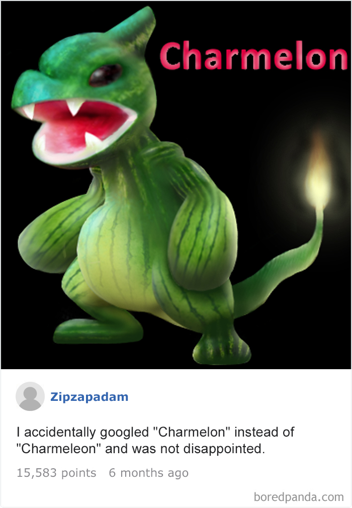 Funny-Accidental-Google-Searches